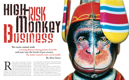 6a magazinespreadmonkey